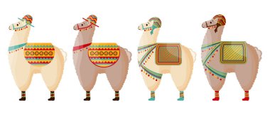 Eyerli, Meksika alpaka şapkalı şirin lama seti. Meksika ve Peru 'nun sembolü.