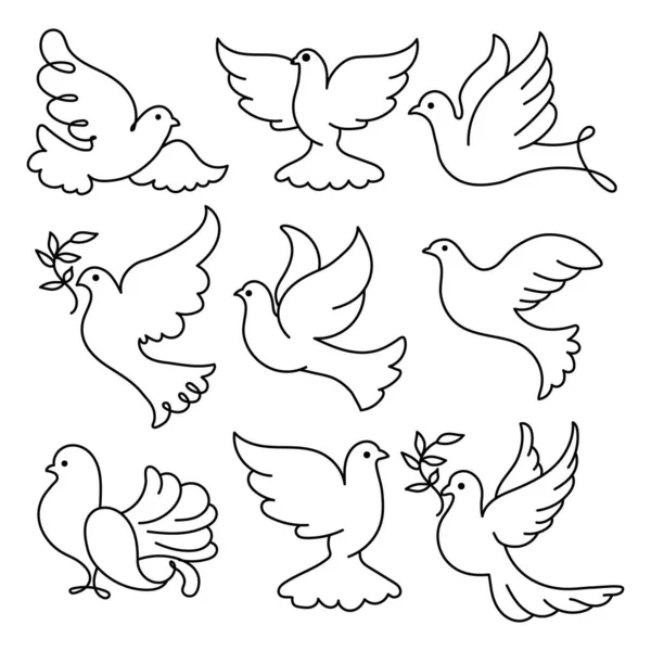 Set Line Drawings Doves Icons Decor Elements Logo Vector — Stock Vector