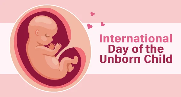 Embrião Útero Mãe Dia Internacional Nascituro Ilustração Banner Vector —  Vetores de Stock
