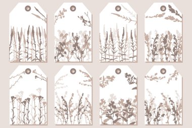 Etiketler, çıkartmalar, posterler, kır çiçekleri ve bitkilerle dolu tebrik kartları. Vektör