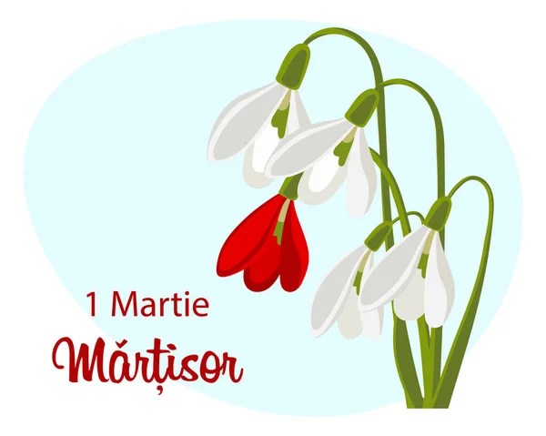 Martisor Moldavian Romanian Holiday Beginning Spring Bouquet White Red Snowdrops — Stock Vector