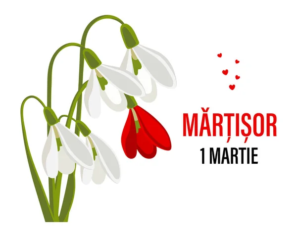 Martisor Moldovan Romanian Traditional Spring Festival Bouquet White Red Snowdrops — Wektor stockowy