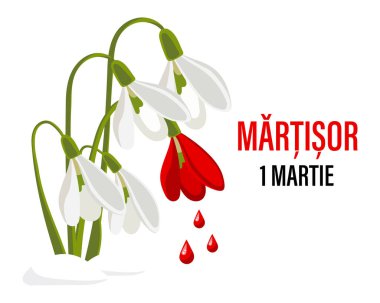 Martisor, Moldavian and Romanian traditional spring holiday, legend. Bouquet of white and red snowdrops with drops of blood. Spring background, postcard, vector