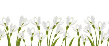 Seamless border, spring flowers snowdrops. Spring background with copy space. Illustration, vector