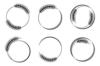 Set of round abstract icons of ears of wheat. Logo, icon, template, decor element, vector