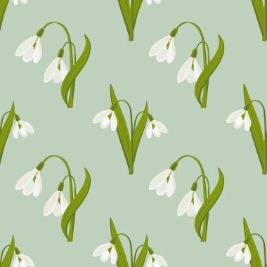 Kusursuz desen, açık yeşil arka planda narin kardelen çiçekleri. Bahar arkaplanı, tekstil, baskı, vektör