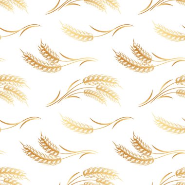 Kusursuz desenler, buğday buketleri, çavdar, arpa, beyaz arka planda altın kulaklar. Arkaplan, yazdırma, tekstil, vektör
