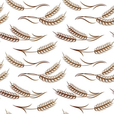 Kusursuz desenler, buğday, çavdar, arpa, kahverengi kulaklı buketler beyaz arka planda. Arkaplan, yazdırma, tekstil, vektör