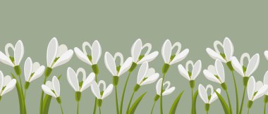 Seamless border, spring flowers snowdrops on light green background. Spring background with copy space. Illustration, vector