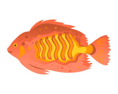 Sea fish, sea flounder on a white background. Zoological concept. Sea animals illustration, vector