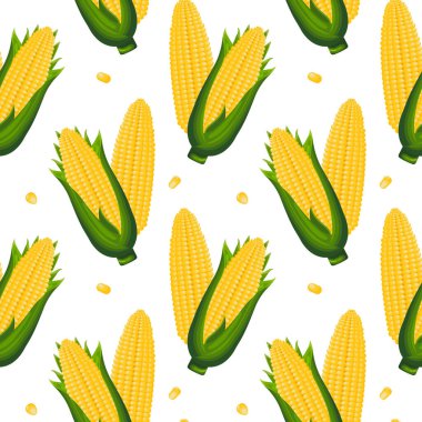 Seamless pattern, corn cobs with leaves and corn kernels. Agriculture concept. Background, print, textile, vector