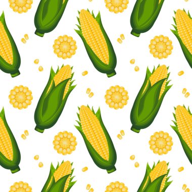 Seamless pattern, corn on the cob with leaves and corn kernels. Agriculture concept. Background, print, textile, vector