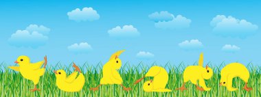 Cheerful chickens in a yoga pose on a spring landscape with sky and clouds. Children's card, illustration, vector.