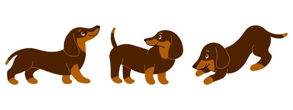 Ensemble Teckshunds Purered Mignons Dans Différentes Poses Illustration Dans Style — Image vectorielle