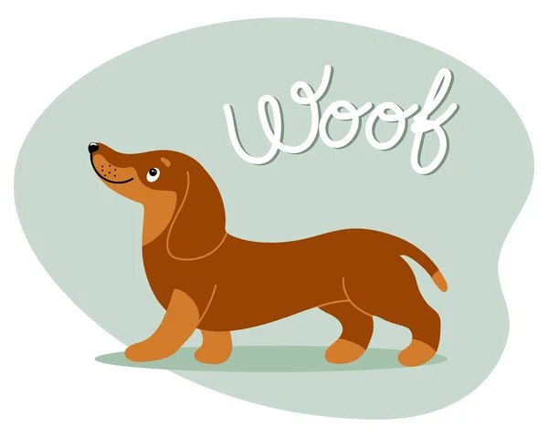 Zeichentrickfilm Lustiger Dackelhund Und Das Wort Woof Flache Stilabbildung Kinderdruck — Stockvektor