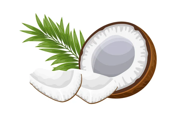Kokosnüsse Und Kokosnussstücke Mit Grünen Blättern Auf Weißem Hintergrund Abbildung — Stockvektor