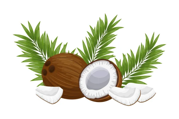 Kokosnüsse Und Kokosnussstücke Mit Grünen Blättern Auf Weißem Hintergrund Abbildung — Stockvektor