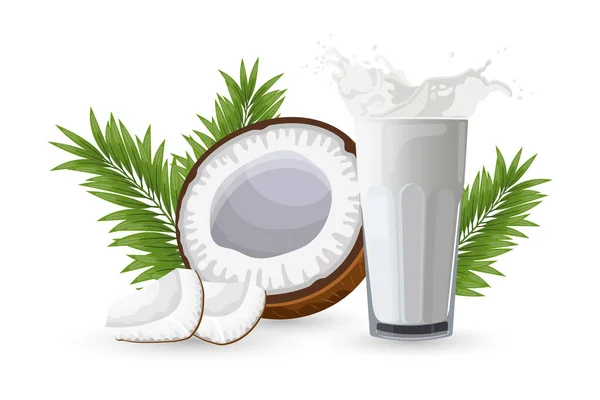 Кокос Наполовину Кокос Шматки Кокосу Склянка Молока Бризками Білому Тлі — стоковий вектор