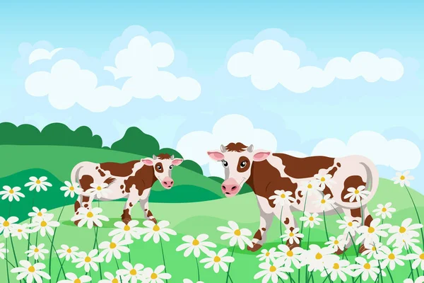 Χαριτωμένες Σημαδεμένες Αγελάδες Χωράφι Καλοκαιρινό Τοπίο Αφίσα Banner Εικονογράφηση Διάνυσμα — Διανυσματικό Αρχείο