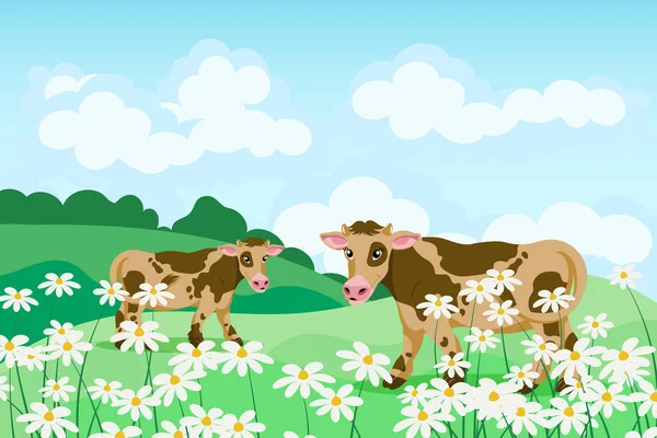 Roztomilé Skvrnité Krávy Poli Sedmikrásek Letní Krajina Plakát Banner Ilustrace — Stockový vektor