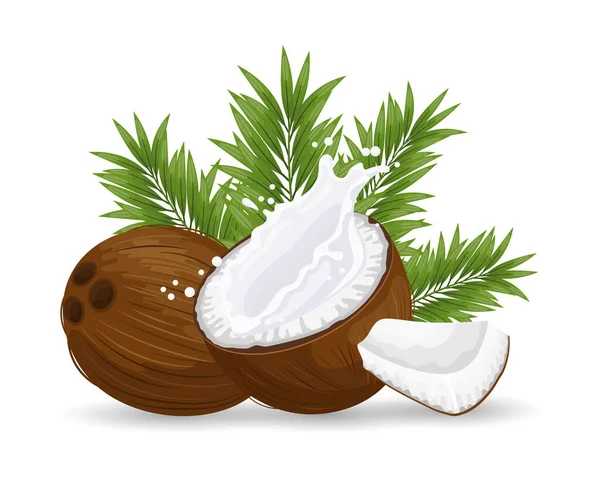 Kokos Posiekany Kokos Odrobiną Mleka Białym Tle Liśćmi Palmy Ilustracja — Wektor stockowy