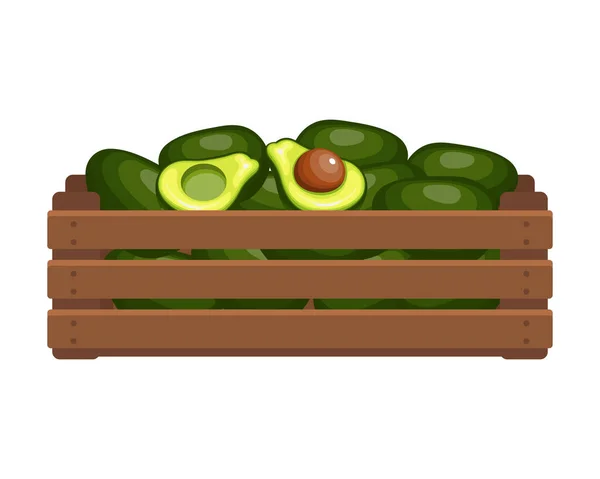 Caixa Madeira Com Abacates Tropicais Alimentação Saudável Frutas Agricultura Ilustração — Vetor de Stock