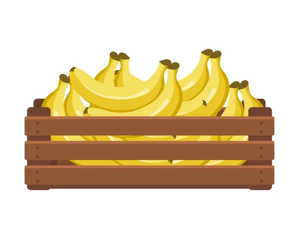 Caixa Madeira Com Bananas Tropicais Alimentação Saudável Frutas Agricultura Ilustração —  Vetores de Stock