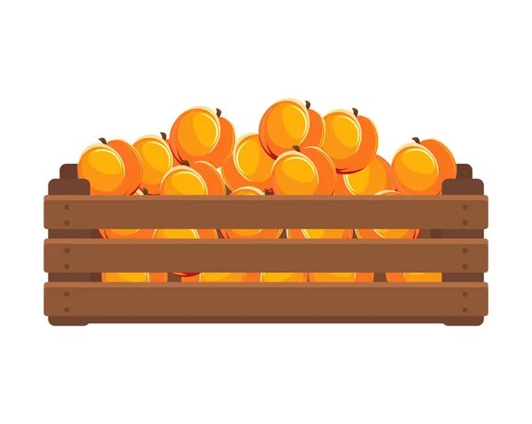 Drewniane Pudełko Dojrzałymi Brzoskwiniami Zdrowa Żywność Owoce Rolnictwo Ilustracja Wektor — Wektor stockowy