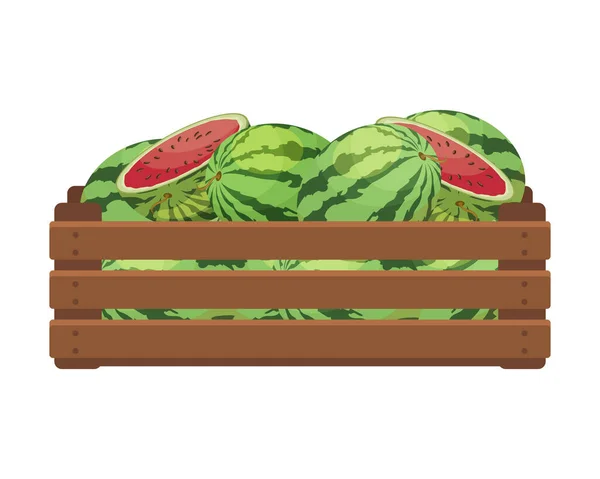 Caixa Madeira Com Melancia Inteira Cortada Alimentação Saudável Frutas Agricultura — Vetor de Stock