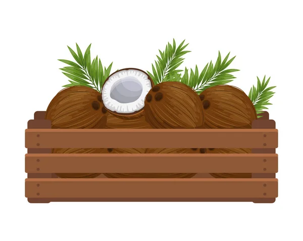 Dřevěná Krabice Tropickými Kokosy Zdravé Jídlo Ovoce Ilustrace Zemědělství Vektor — Stockový vektor