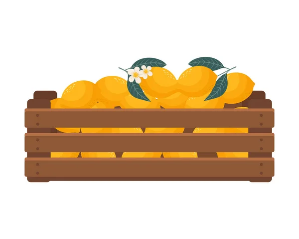 Dřevěná Krabice Citróny Zdravé Jídlo Ovoce Ilustrace Zemědělství Vektor — Stockový vektor