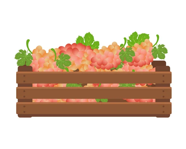 Dřevěná Krabice Růžovými Hrozny Zdravé Jídlo Ovoce Ilustrace Zemědělství Vektor — Stockový vektor