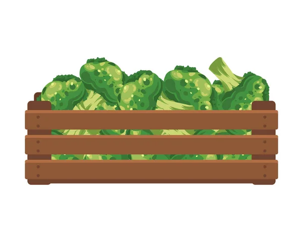Деревянная Коробка Брокколи Здоровое Питание Овощи Сельскохозяйственная Иллюстрация Вектор — стоковый вектор