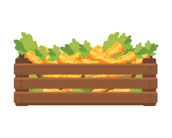 Деревянная Коробка Морковью Здоровое Питание Овощи Сельскохозяйственная Иллюстрация Вектор — стоковый вектор