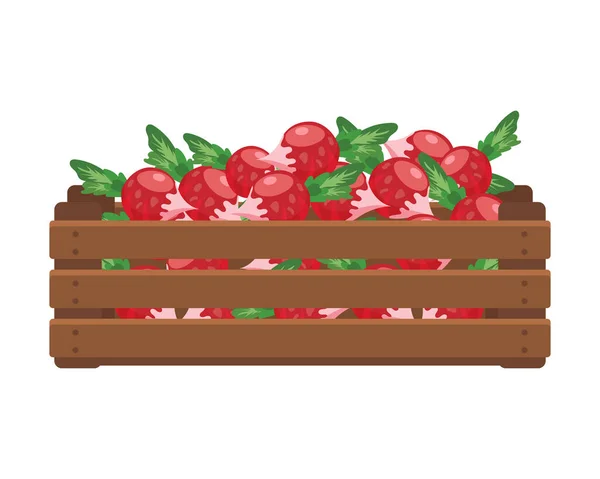 Drewniane Pudełko Rzodkiewkami Jedzenie Warzywa Rolnictwo Ilustracja Wektor — Wektor stockowy