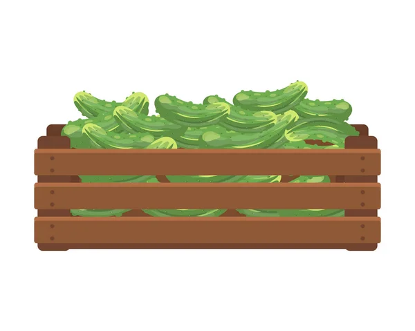 Dřevěná Krabice Okurkami Zdravé Jídlo Zelenina Ilustrace Zemědělství Vektor — Stockový vektor