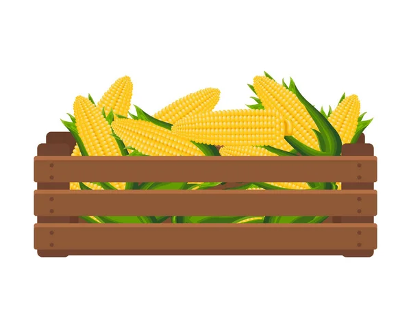 Caja Madera Con Maíz Dulce Mazorca Alimentación Saludable Verduras Agricultura — Vector de stock