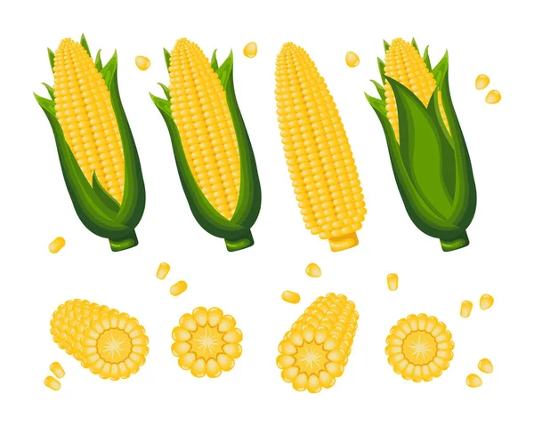 Zestaw Słodkiej Kukurydzy Kukurydzy Kolbie Ziaren Kukurydzy Białym Tle Ikony — Wektor stockowy