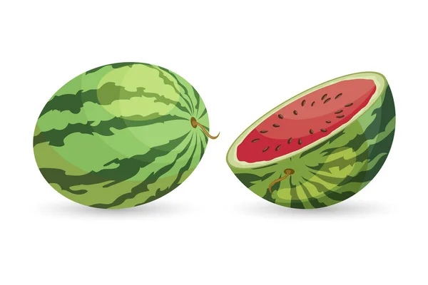 Vattenmelon Set Hela Och Skuren Vattenmelon Isolerad Vit Bakgrund Fruktillustration — Stock vektor