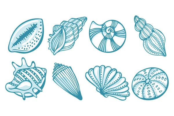 Набор Покрашенных Вручную Морских Раковин Иллюстрация Синих Ракушек Белом Фоне — стоковый вектор