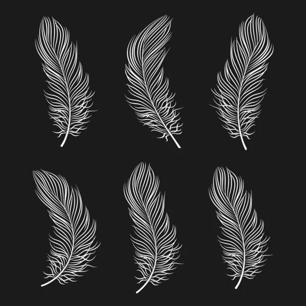 Набір Білих Контурних Пір Птахів Чорному Тлі Лінійне Мистецтво Елементи — стоковий вектор