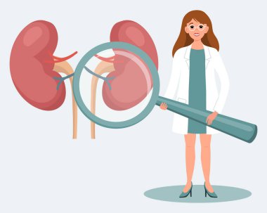Büyüteç ve insan böbreği olan bir kadın doktor. İnsan idrar sisteminin tıbbi teşhisi, sağlık konsepti. Görüntü, vektör