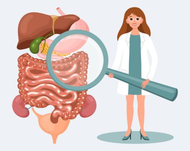 Büyüteç ve insan sindirim sistemi olan kadın doktor. Çevrimiçi tıbbi teşhis ve konsültasyonlar, sağlık konsepti. Görüntü, vektör