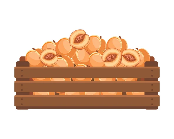 Holzkiste Mit Reifen Pfirsichen Gesunde Ernährung Früchte Landwirtschaft Illustration Vektor — Stockvektor