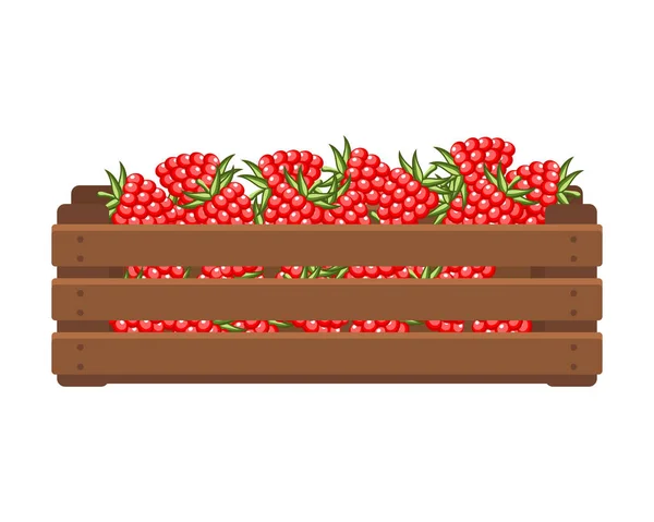 Holzkiste Mit Himbeeren Gesunde Ernährung Früchte Landwirtschaft Illustration Vektor — Stockvektor