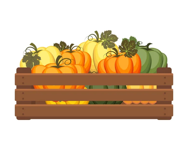 Drewniane Pudełko Dyniami Zdrowa Żywność Warzywa Rolnictwo Ilustracja Wektor — Wektor stockowy