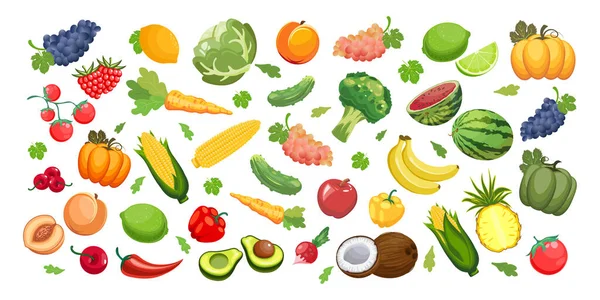 Grande Conjunto Frutas Legumes Alimentação Ilustração Agrícola Vetor — Vetor de Stock