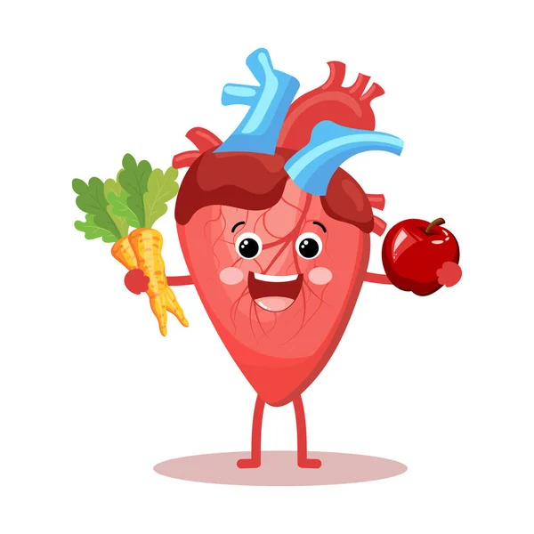 Cute Kreskówki Wesoły Charakter Zdrowego Ludzkiego Serca Ludzka Anatomia Medyczna — Wektor stockowy