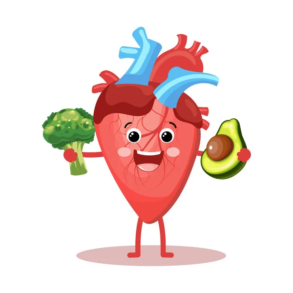 Cute Cheerful Cartoon Character Healthy Human Heart Broccoli Human Anatomy — Stock Vector