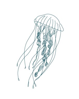 Çizim, beyaz bir arka planda denizanasının dış hatları. Yazdır, çiz, vektör